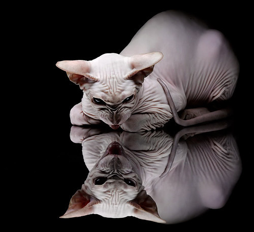 格纳布里独力难支，威尔士团队之力险胜突尼斯