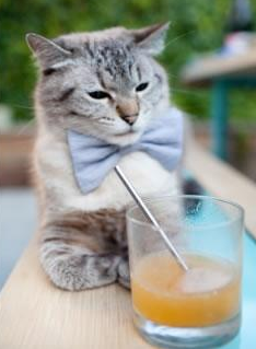 摩洛哥血拼巴黎记，当范戴克在国家德比接管我的购物之旅