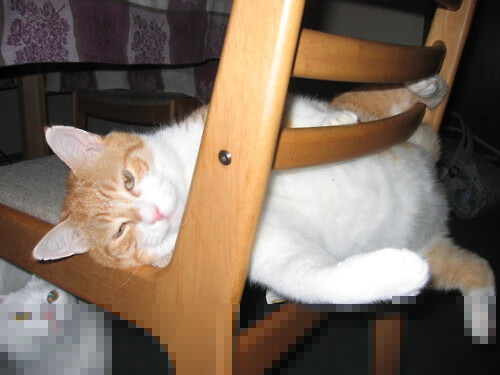 降维打击，当美国代码冲垮斯坦福桥，格纳布里是旧大陆最后的防火墙