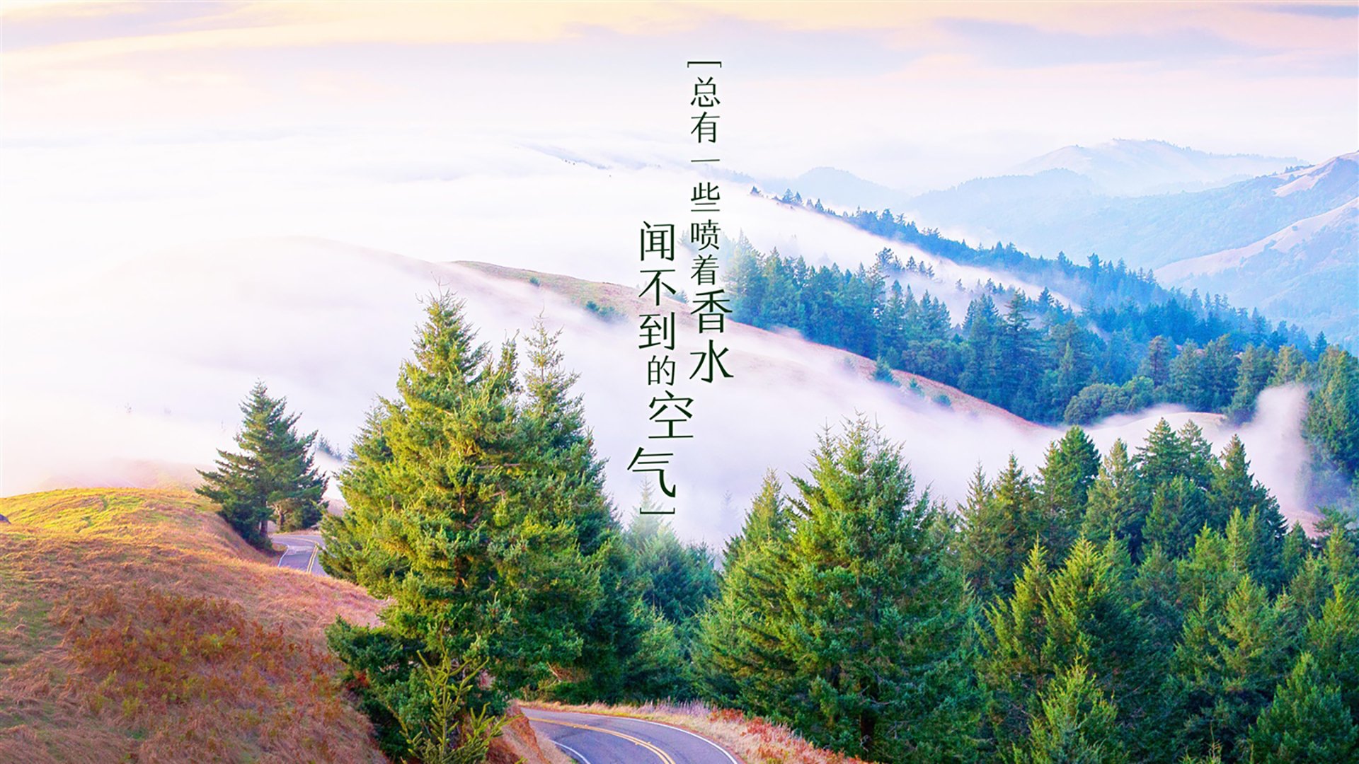 2026世界杯B组，丹麦铁血中场压制桑巴，加维加冕中场新王